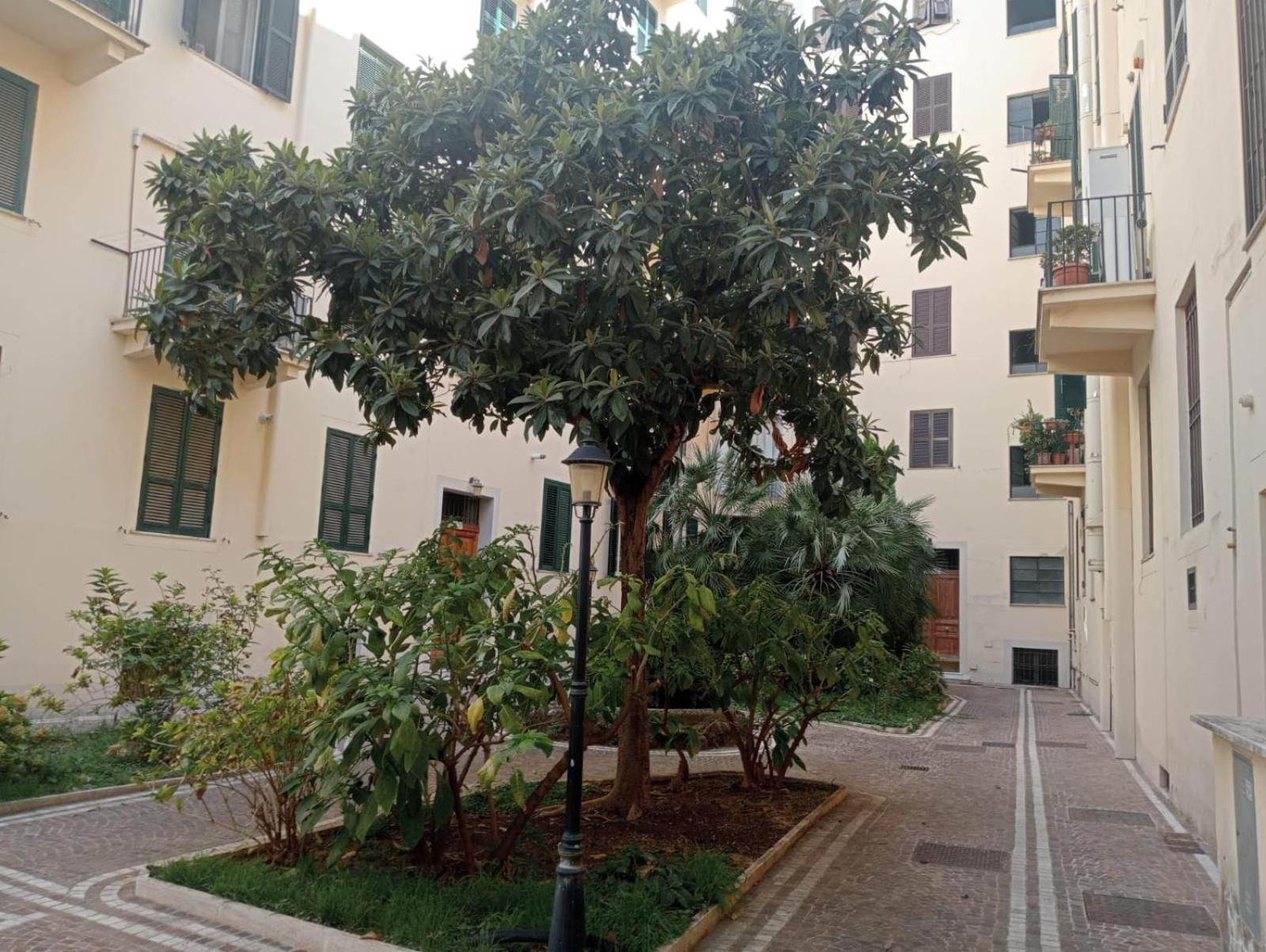 Borghese Deluxe - 4 Bedrooms - 3 Bathrooms *